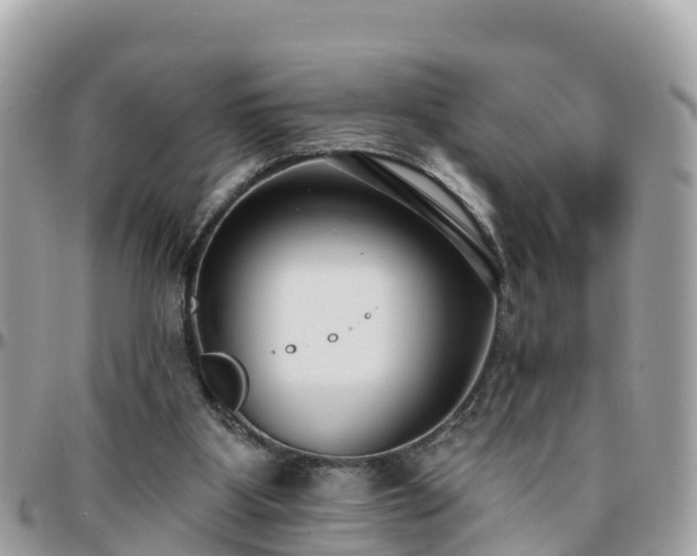 X0000096210107200801251043