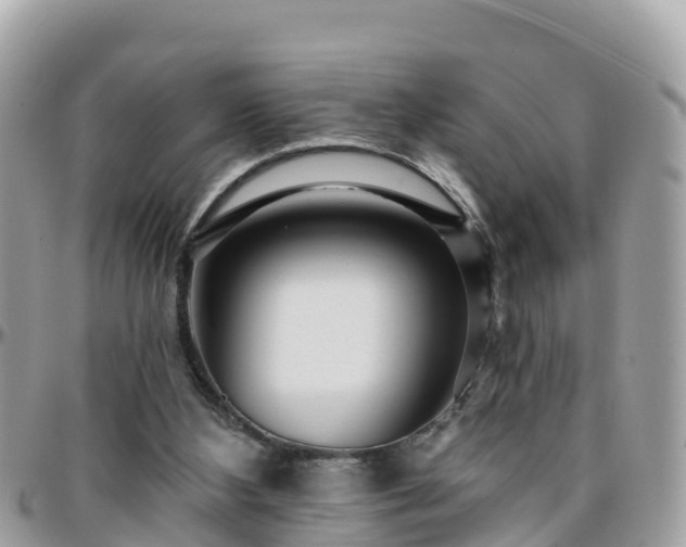 X0000096210108200801251043