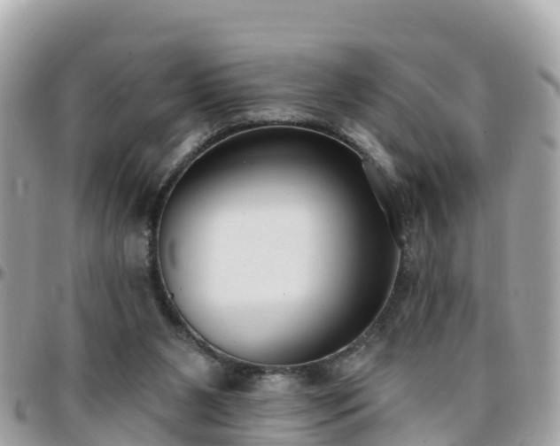 X0000096210111200801251043