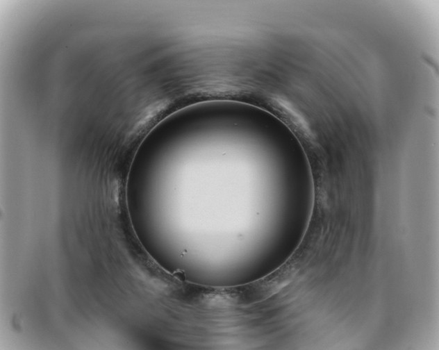 X0000096210115200801251043