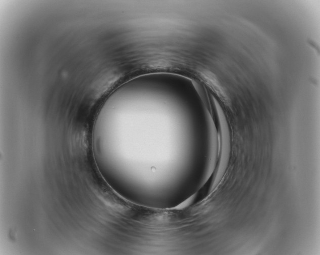 X0000096210116200801251043