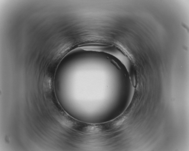 X0000096210117200801251043