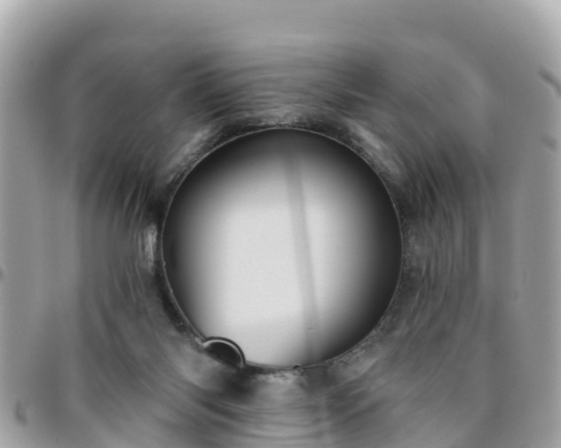 X0000096210118200801251043