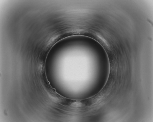 X0000096210119200801251043