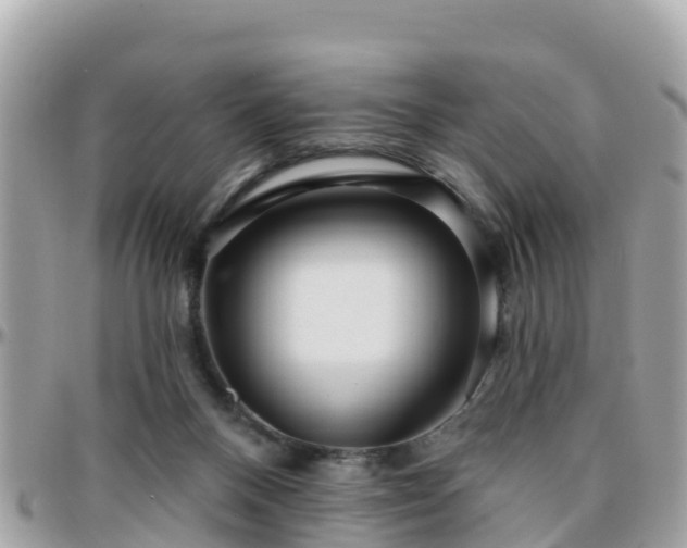 X0000096210120200801251043