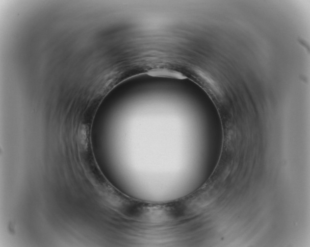 X0000096210121200801251043