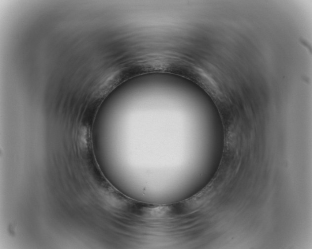 X0000096210122200801251043