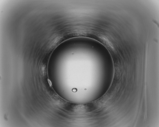 X0000096210123200801251043