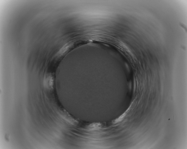 X0000096210124200801251043