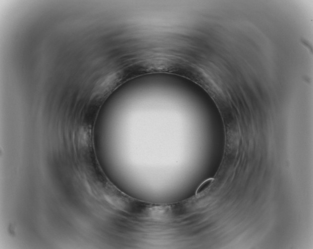 X0000096210126200801251043