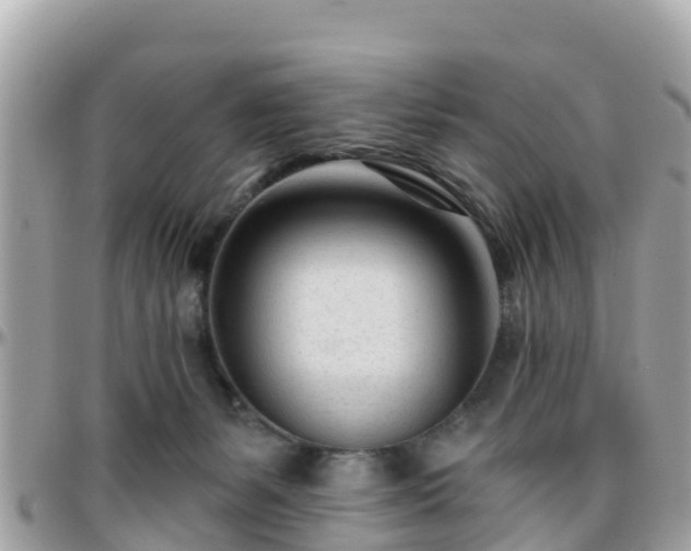 X0000096210127200801251043