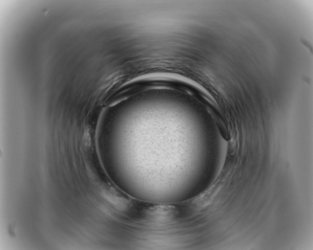 X0000096210128200801251043