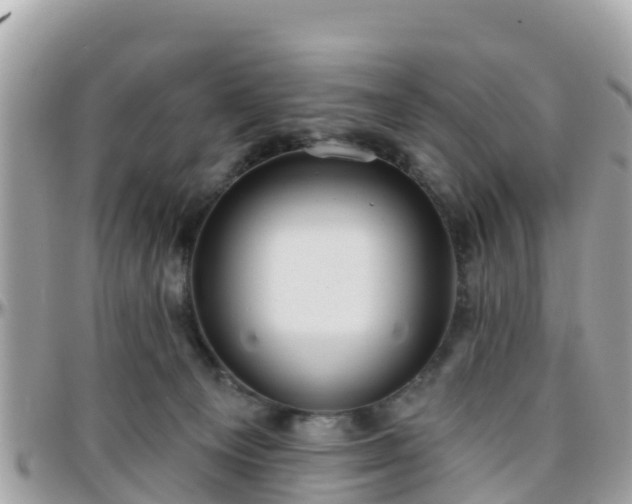 X0000096210129200801251043