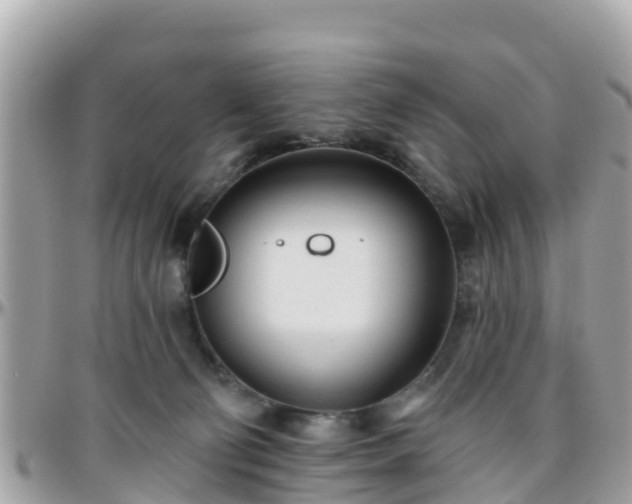 X0000096210130200801251043