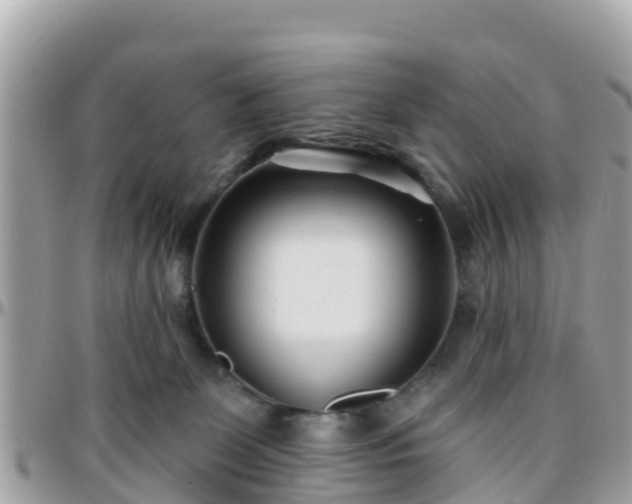 X0000096210131200801251043