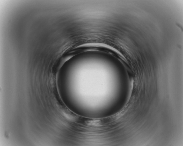 X0000096210132200801251043