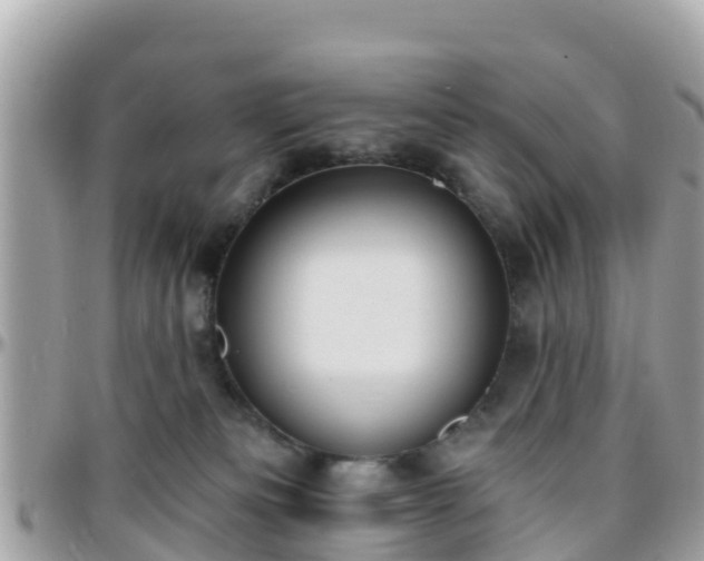 X0000096210133200801251043