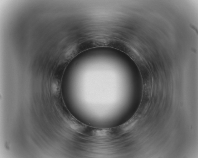 X0000096210134200801251043