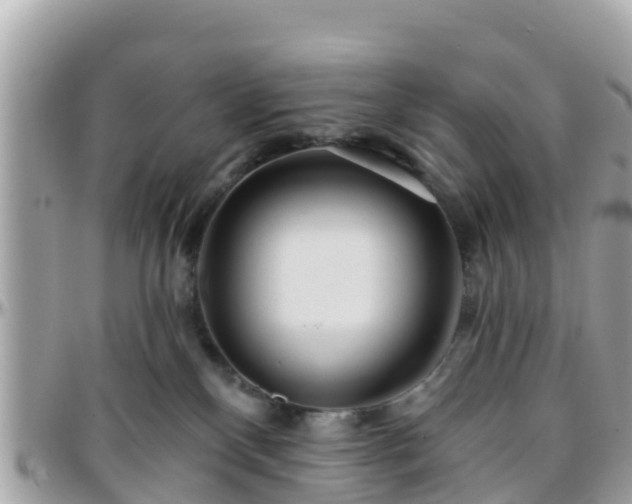 X0000096210136200801251043