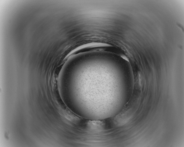 X0000096210137200801251043