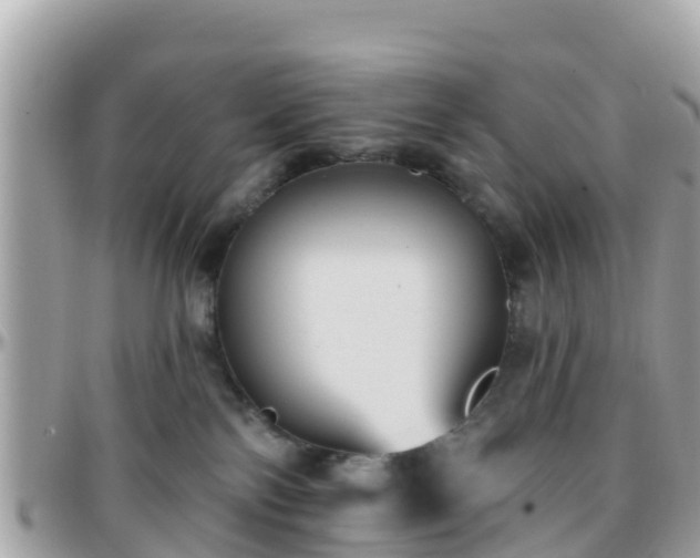 X0000096210138200801251043