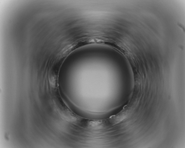 X0000096210139200801251043