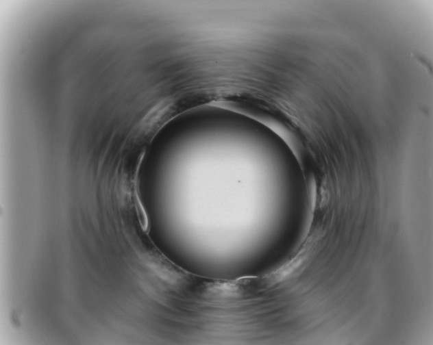 X0000096210140200801251042