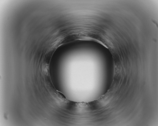 X0000096210141200801251042