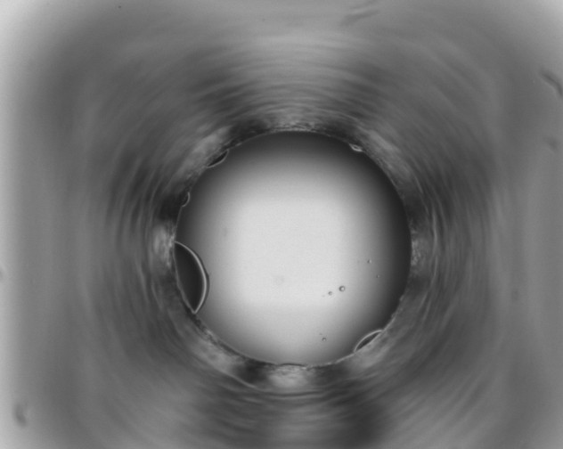 X0000096210142200801251042