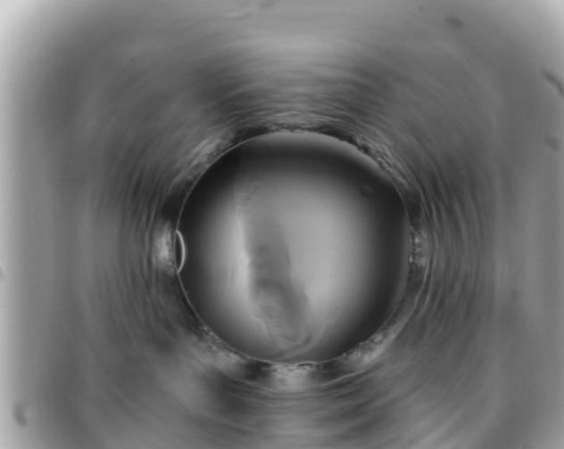 X0000096210143200801251042