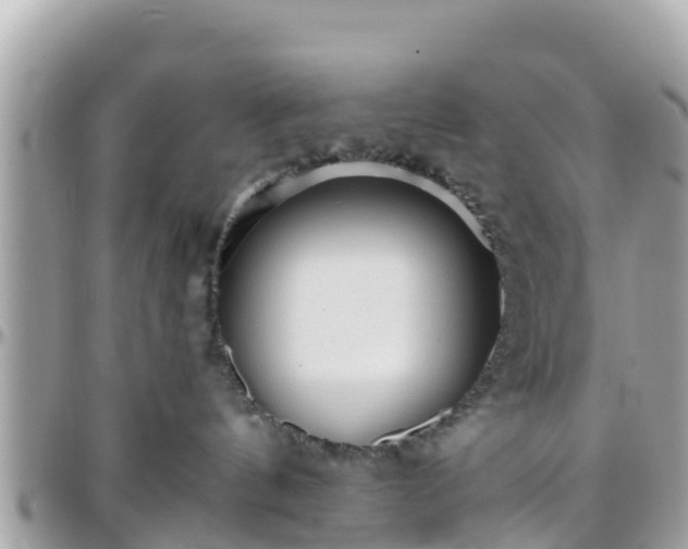 X0000096210144200801251042