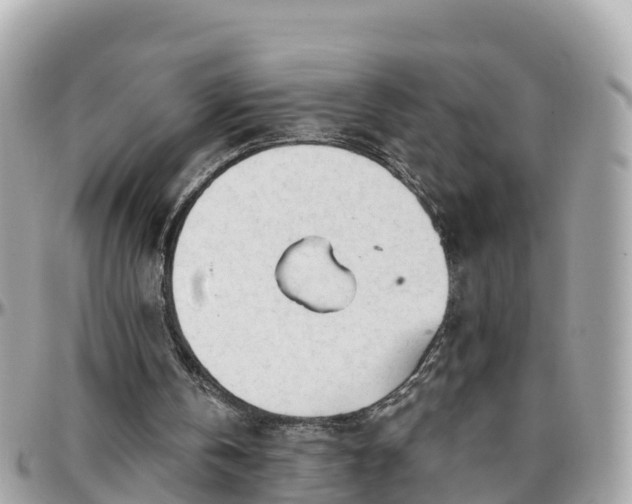 X0000096210146200801251042