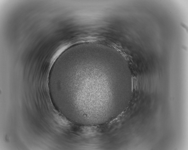 X0000096210147200801251042