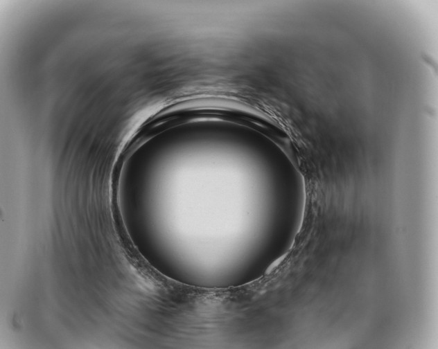 X0000096210148200801251042