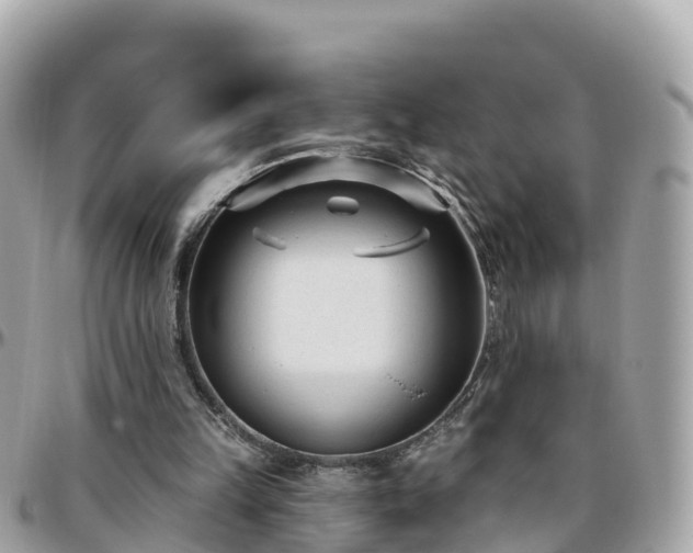 X0000096210149200801251042