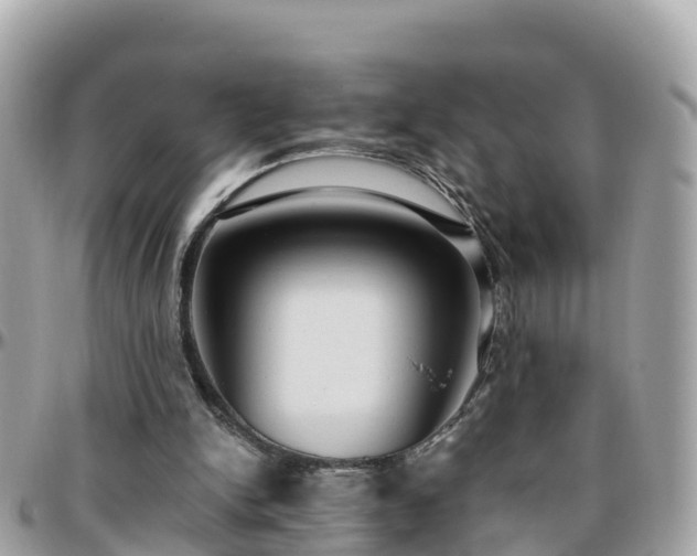 X0000096210150200801251042