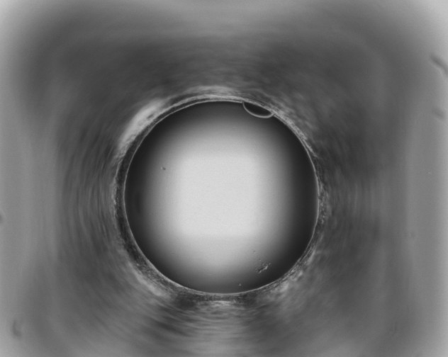 X0000096210151200801251042