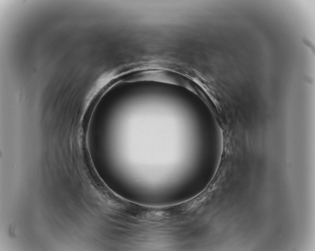 X0000096210152200801251042