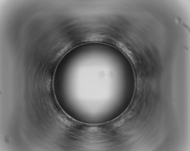 X0000096210153200801251042