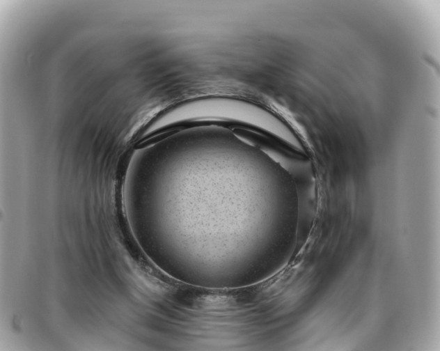 X0000096210154200801251042