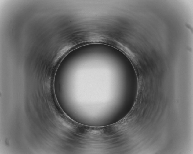 X0000096210155200801251042