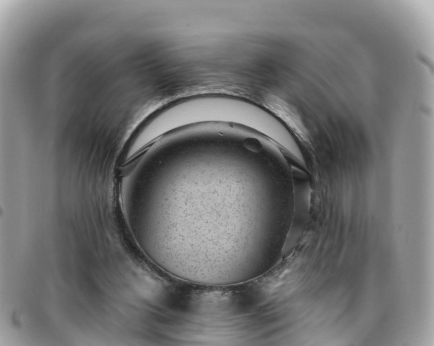 X0000096210156200801251042