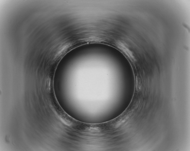 X0000096210157200801251042