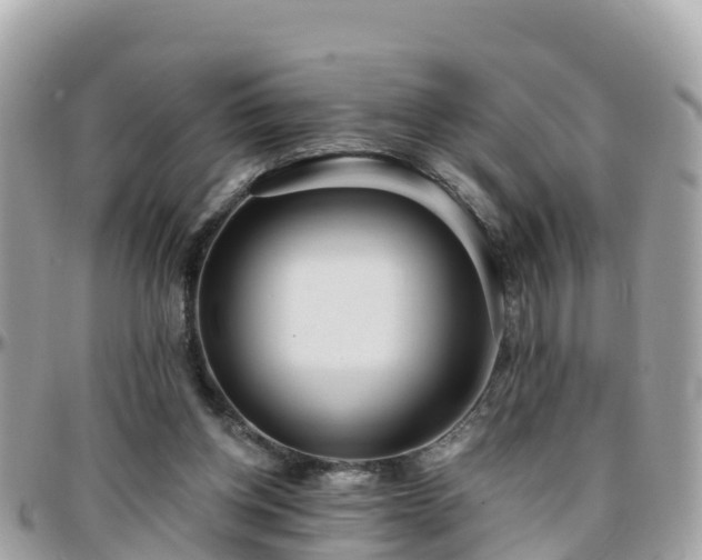 X0000096210158200801251042