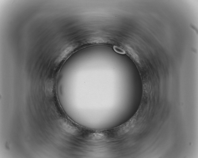 X0000096210159200801251042