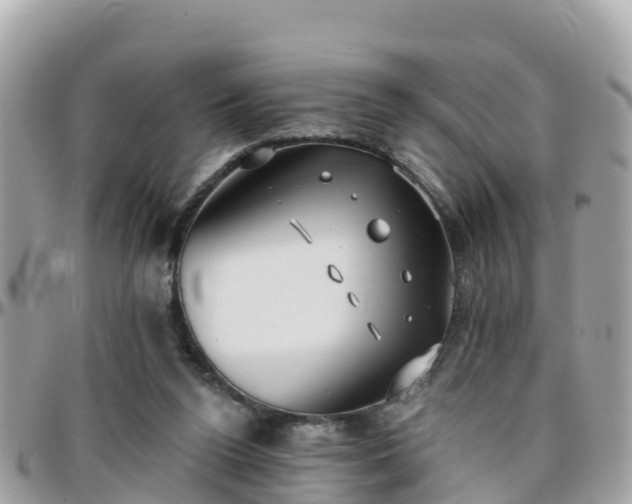 X0000096210160200801251042