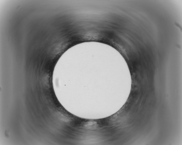 X0000096210162200801251042