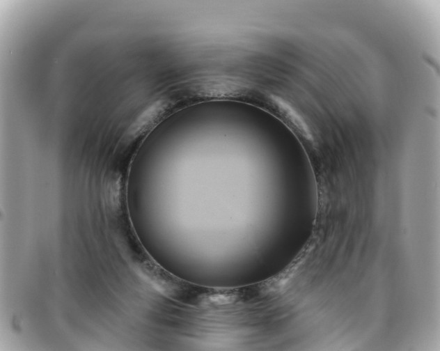 X0000096210163200801251042