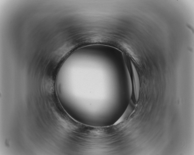 X0000096210164200801251042