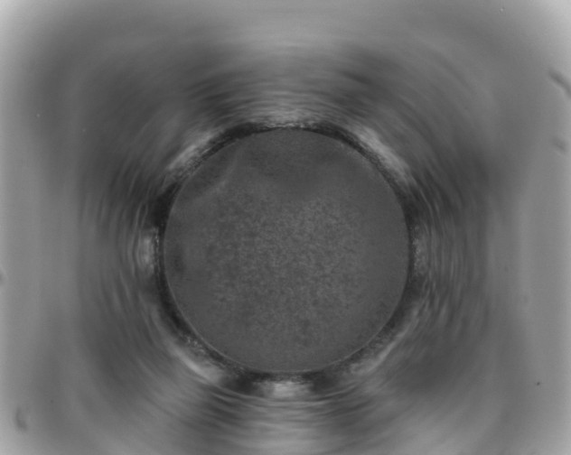 X0000096210165200801251042